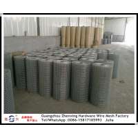 Guangzhou factory wholesale hot dipped 2x2 galvanized welded wire mesh