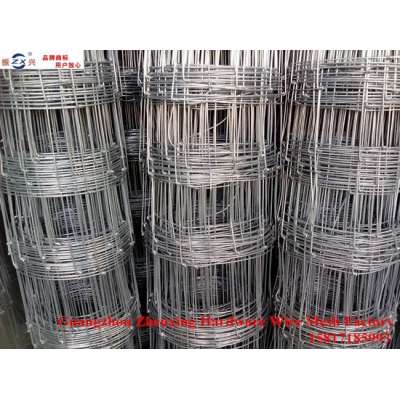 China supplier supplying hot-dipped galvanized goat wire mesh fence ZX-NLW011